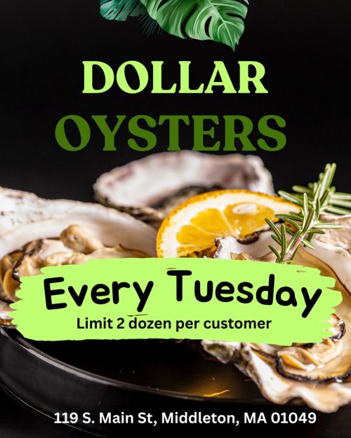 WhatsApp Image 2025-05-14 at 12.51.05 PM